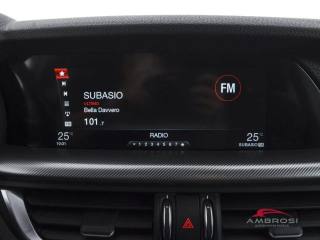 ALFA ROMEO Stelvio usata 13