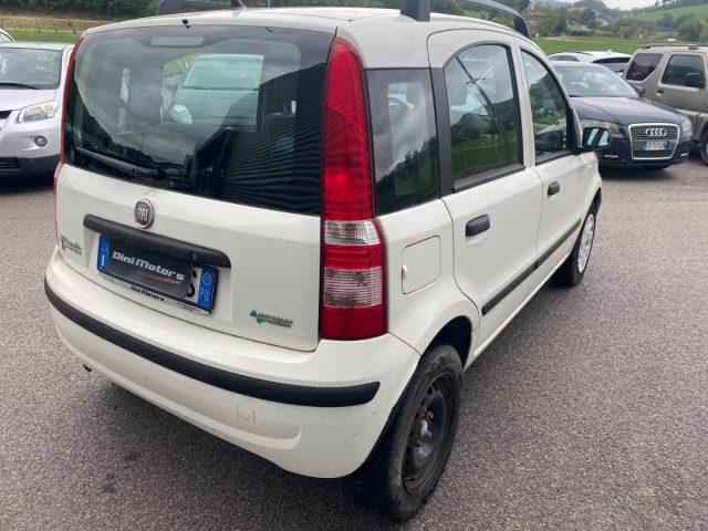 FIAT Panda usata, con Controllo automatico clima