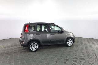FIAT Panda usata 2