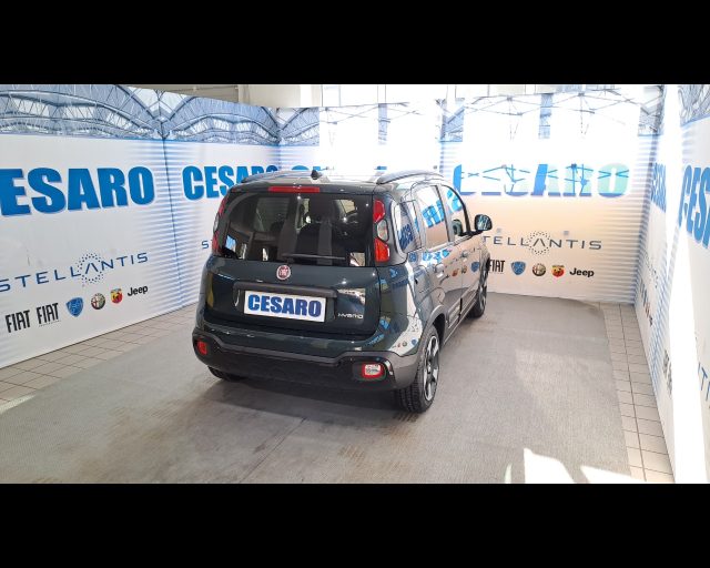 FIAT Pandina Cross usata, con Airbag Passeggero