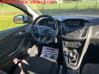 FORD Focus usata 21