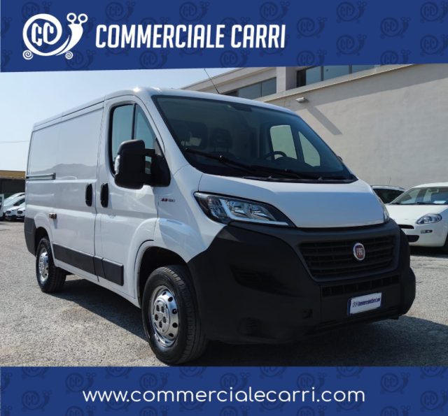 FIAT usata 0