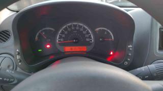 FIAT Panda usata 13