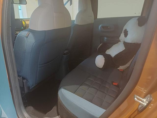 FIAT Grande Panda usata, con Climatizzatore