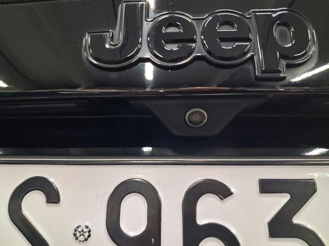 JEEP Renegade usata, con Boardcomputer