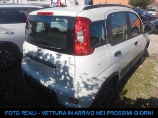 FIAT Panda usata, con Alzacristalli elettrici