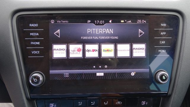 SKODA Octavia usata 100