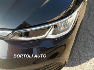 VOLKSWAGEN Golf usata, con Cronologia tagliandi