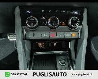 SKODA Karoq usata, con Autoradio digitale