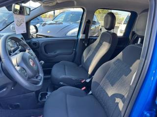 FIAT Panda Cross usata, con Fendinebbia