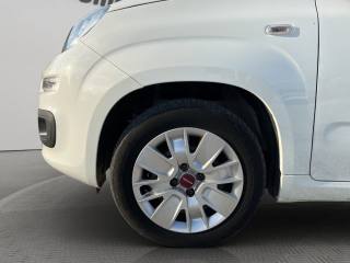 FIAT Panda usata 15