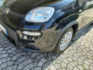 FIAT Panda usata, con Airbag