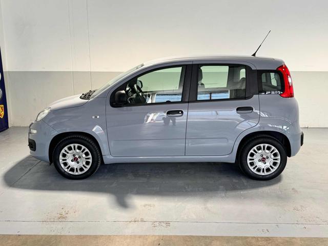 FIAT Panda usata, con Climatizzatore