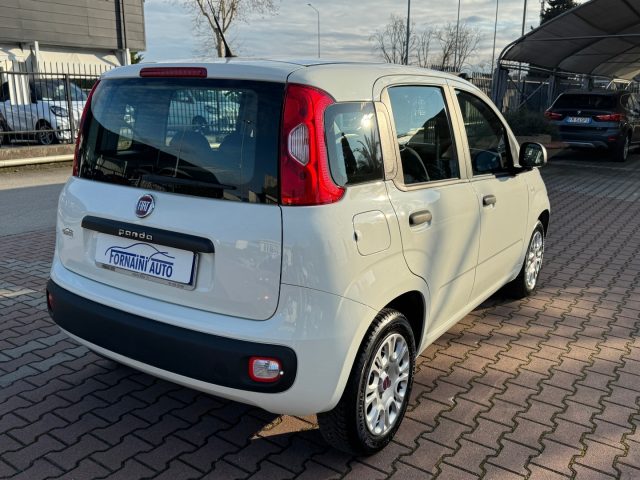 FIAT New Panda usata, con Alzacristalli elettrici