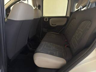 FIAT Panda usata 9