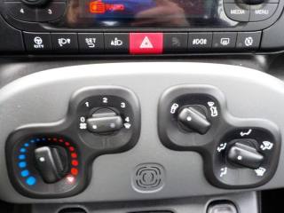 FIAT Panda usata 42