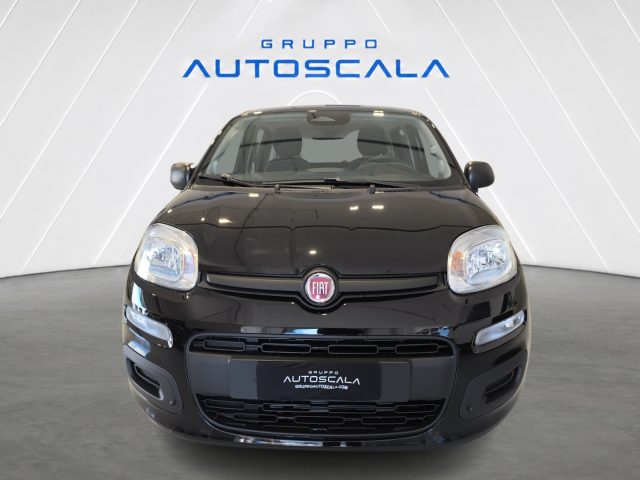 FIAT New Panda usata, con Airbag