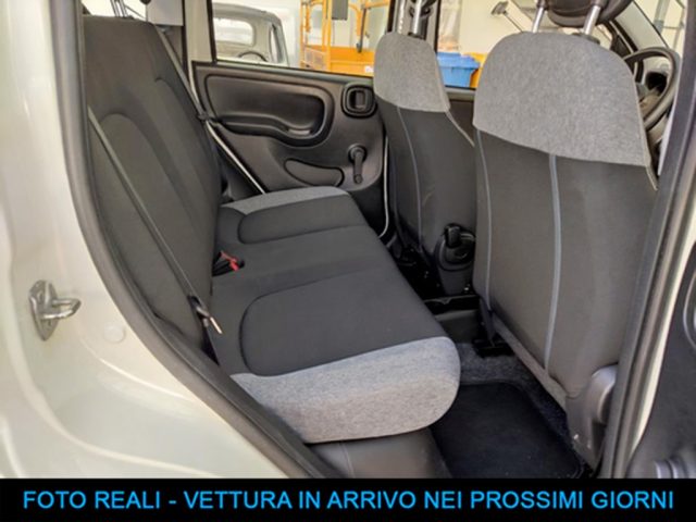 FIAT Panda usata, con Cronologia tagliandi