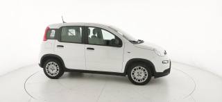 FIAT Panda usata 20