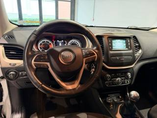 JEEP Cherokee usata, con Interni in pelle