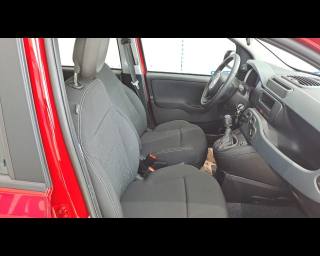 FIAT New Panda usata 21