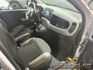 FIAT Panda usata, con Servosterzo