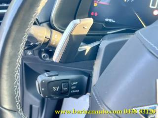 DS AUTOMOBILES DS 7 Crossback usata, con Sistema di navigazione