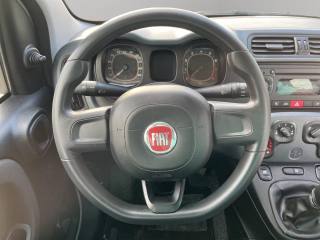 FIAT Panda usata, con Airbag testa