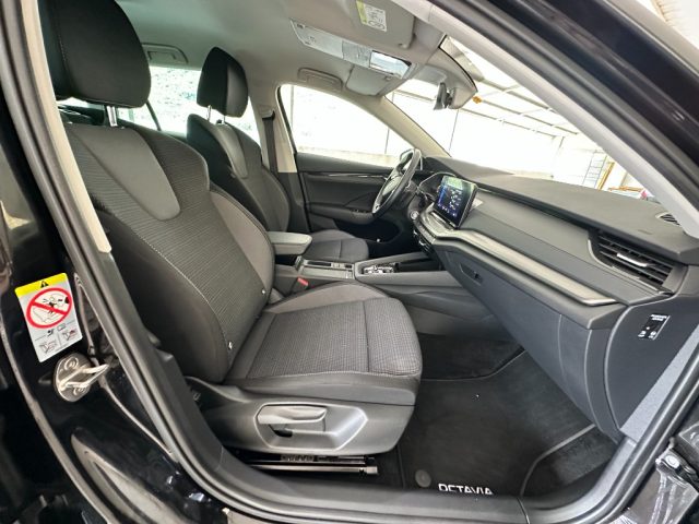 SKODA Octavia usata, con ESP