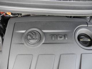 SKODA Fabia usata 61