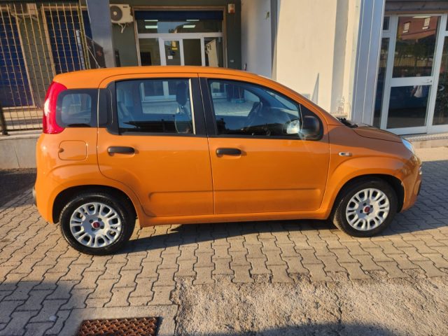 FIAT Panda usata, con Controllo trazione