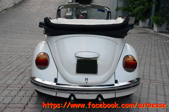 VOLKSWAGEN Maggiolone usata 6