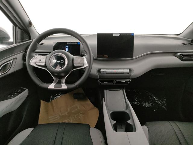 BYD Dolphin Surf usata, con Chiusura centralizzata