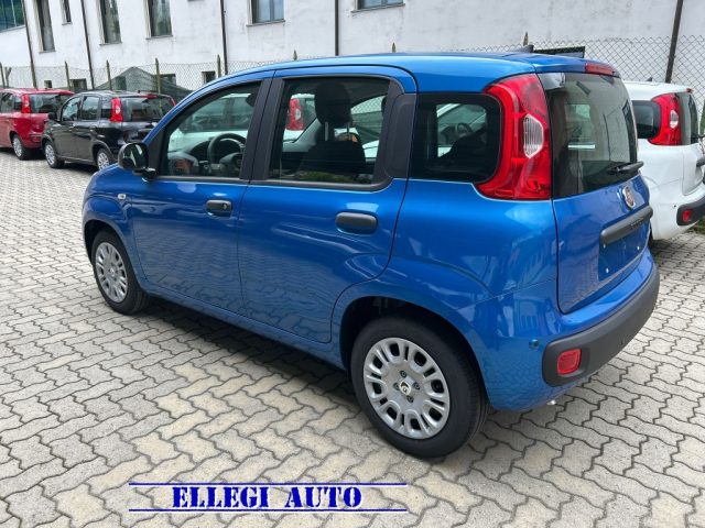FIAT Panda usata, con Antifurto