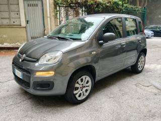 FIAT Panda usata, con Servosterzo