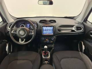 JEEP Renegade usata, con Boardcomputer