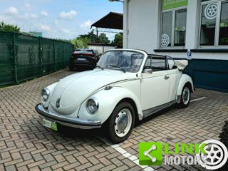 VOLKSWAGEN Maggiolone usata 2
