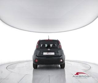 FIAT Panda usata 5