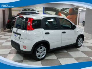 FIAT Panda usata, con Airbag