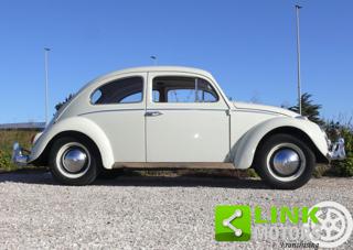 VOLKSWAGEN Maggiolino usata 3
