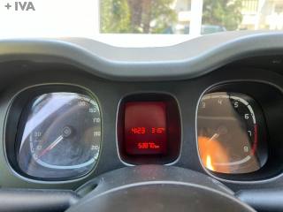 FIAT Panda usata 28