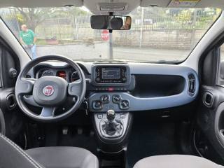 FIAT Panda usata 5