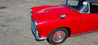 FIAT Other usata 12