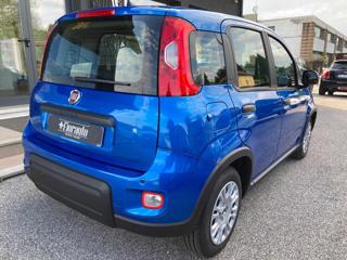 FIAT Panda usata, con Antifurto