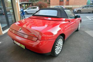 ALFA ROMEO Spider usata 13