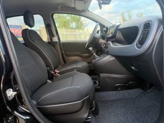 FIAT Panda Cross usata 21