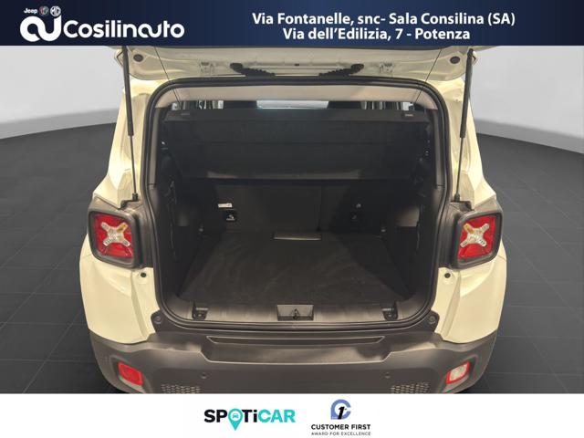 JEEP Renegade usata, con Volante in pelle