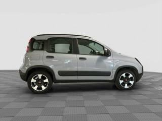 FIAT Panda usata 5