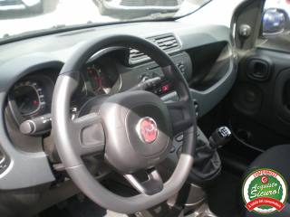 FIAT Panda usata 13