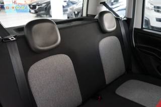 FIAT Panda usata, con Fendinebbia